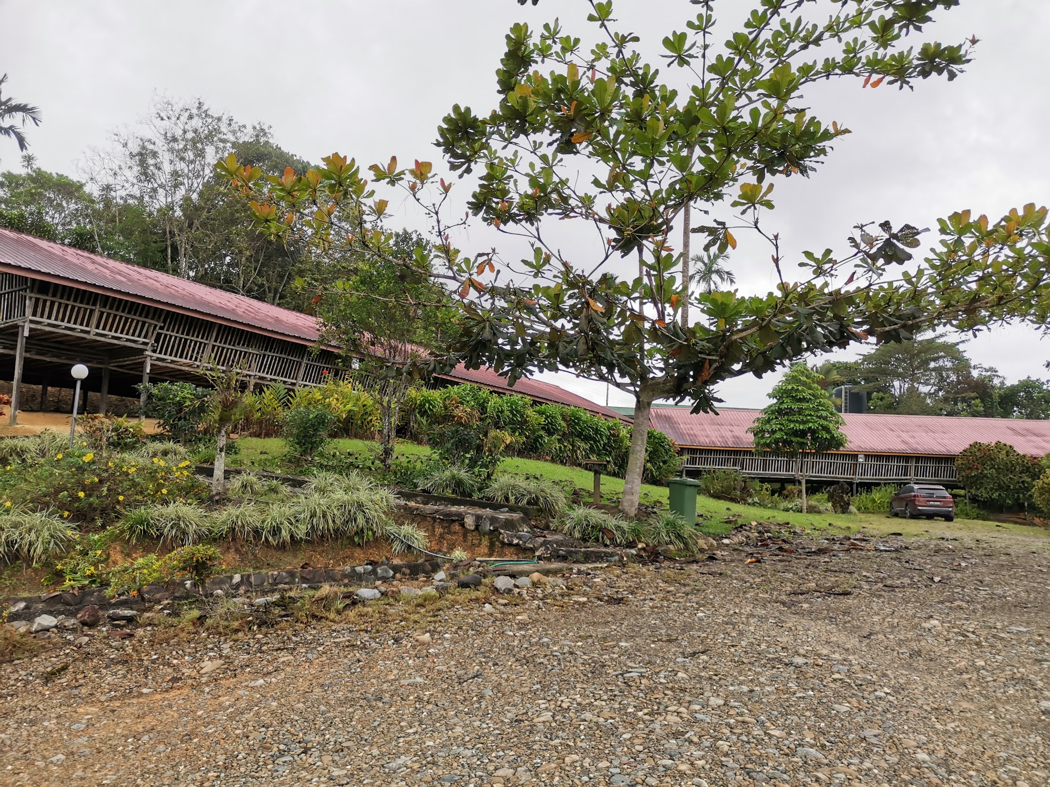 Kebun Bahagia Bersama: Sabah Tea Garden Longhouse only us staying