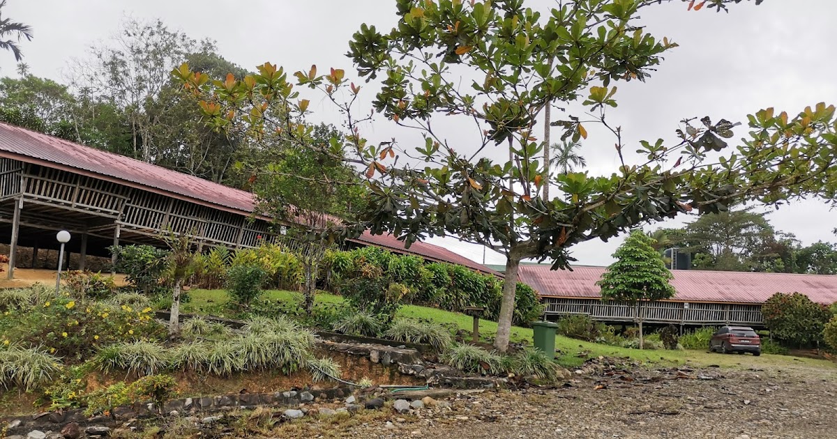 Kebun Bahagia Bersama: Sabah Tea Garden Longhouse only us staying