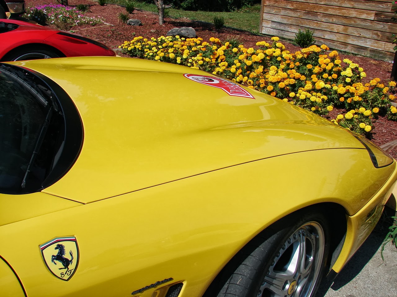 Expeditions by Tricia CLASSY CARS IN JASPER!