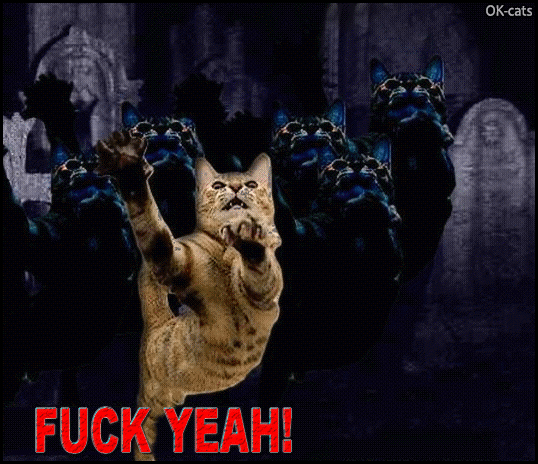 Art Cat GIF with caption • Scary feral cats dancing THRILLER. FUCK YEAH! Art Cat GIF with caption • Scary feral cats dancing THRILLER. FUCK YEAH!