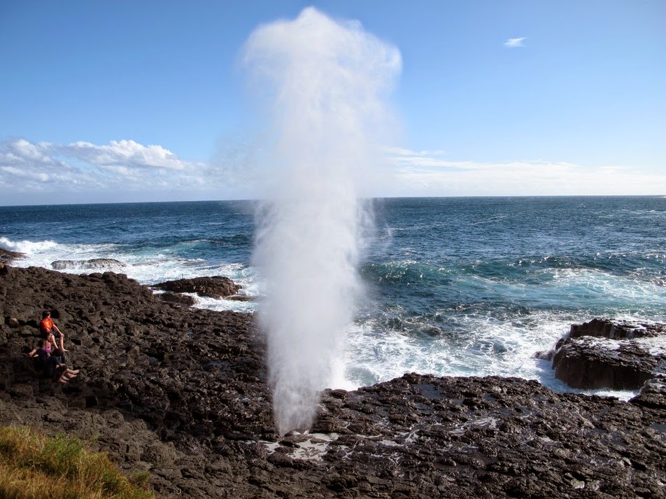 Natural Fountains Nature Conservancy