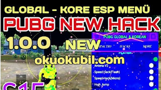 Pubg Mobile 1.0.0 Global + Kore ESP Mod Menu, Esp Hack, AimBot, No Recoil Her Versiyon İçin İndir