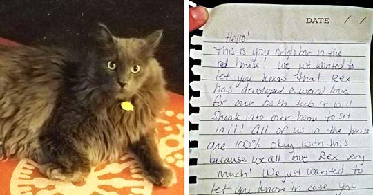 Woman Notices Her Cat Walking In With A Note Attached To His Collar