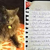 Woman Notices Her Cat Walking In With A Note Attached To His Collar