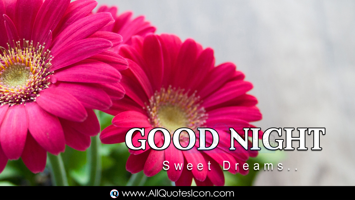 Best English Good Night Images HD Wallpapers Top Good Night Greetings