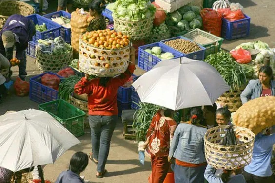 Pengertian Lembaga Ekonomi : Struktur, Ciri, Tujuan, Fungsi dan