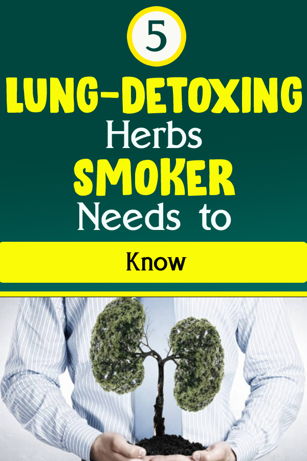 5 LungDetoxing Herbs Smoker Needs to Know