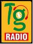 TELANGAANA RADIO