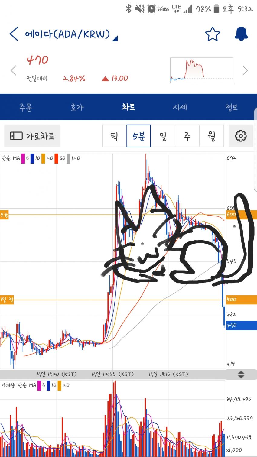 반려동물 이야기] 비트코인 고양이