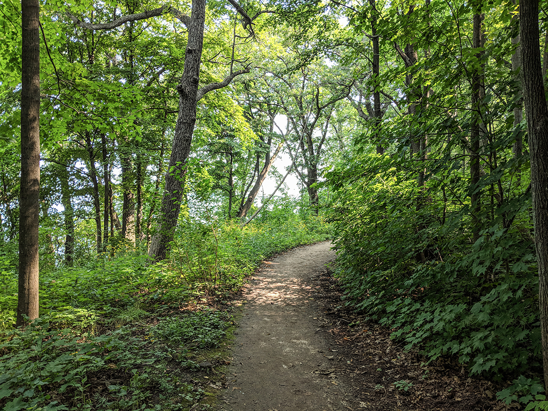 UW Lakeshore Preserve Hiking Trails