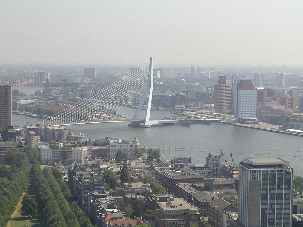 Мост лебедь