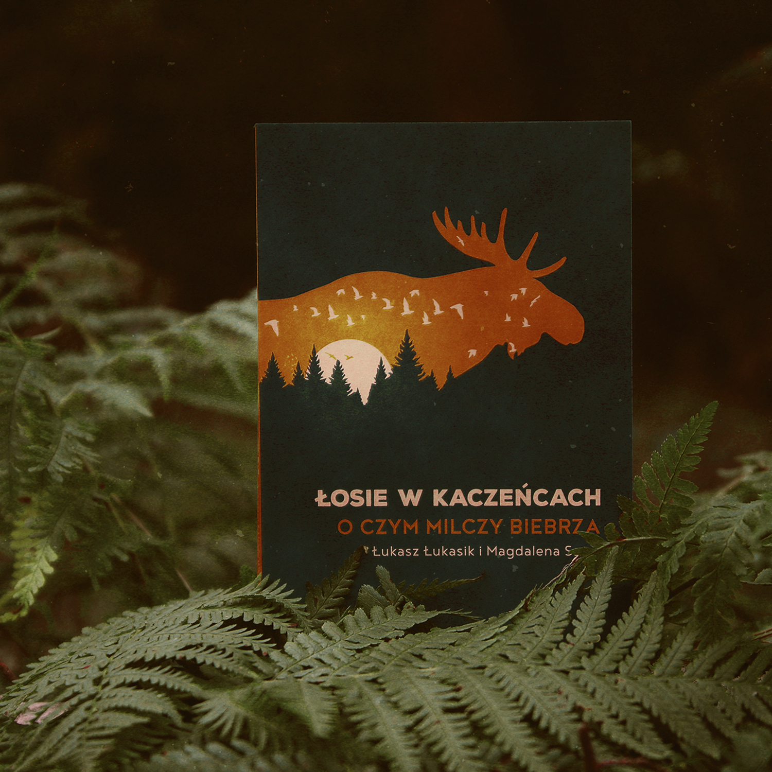 Łosie w kaczeńcach. O czym milczy Biebrza - Łukasz Łukasik i Magdalena Sarat Łosie w kaczeńcach. O czym milczy Biebrza - Łukasz Łukasik i Magdalena Sarat