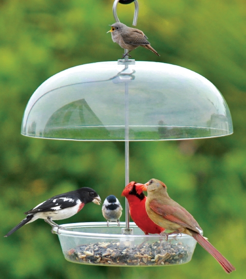 wild birds unlimited when birds eat from feeders wild birds unlimited when birds eat from feeders