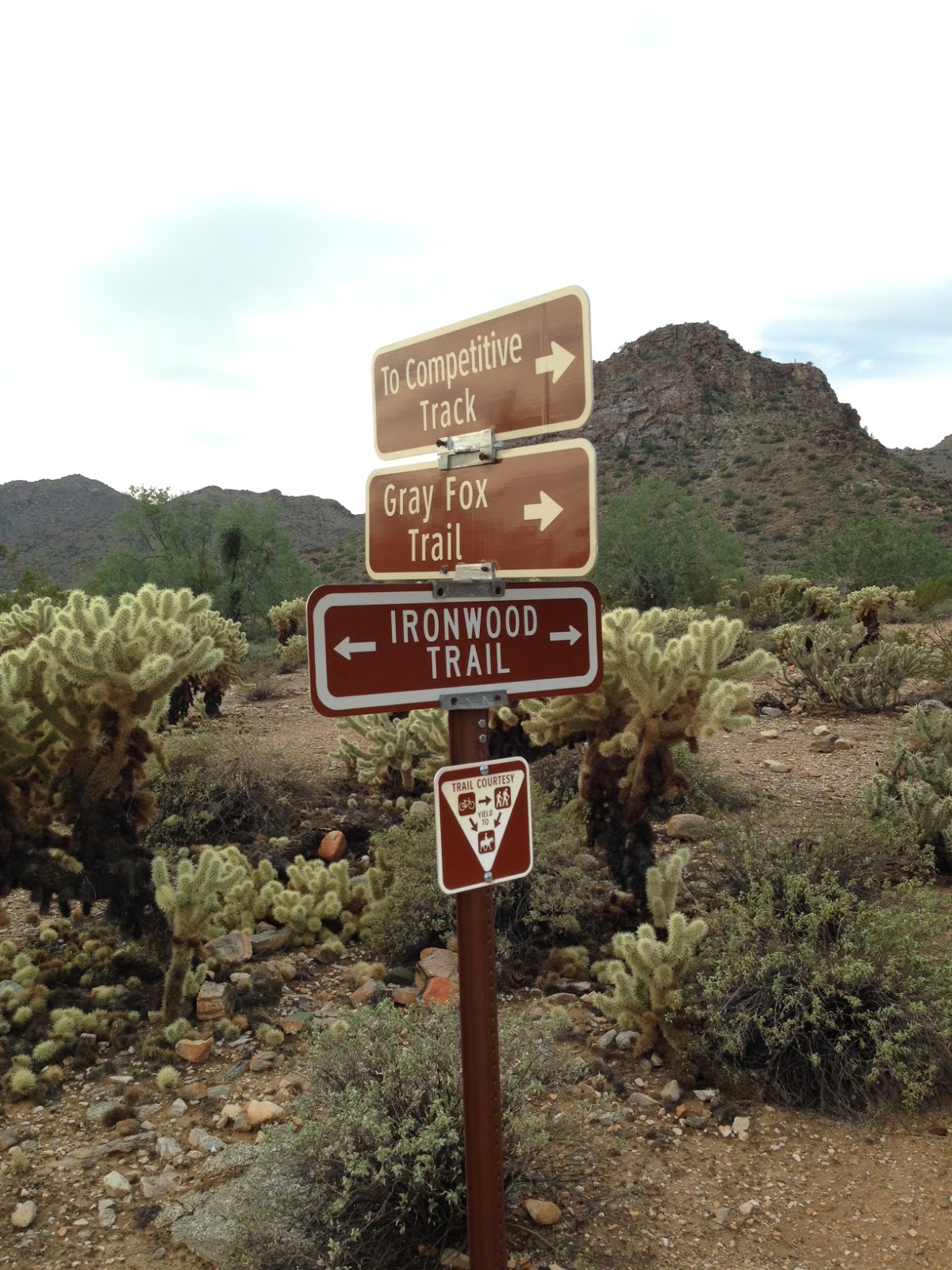 51 New Hikes Hike 32 Gray Fox Trail White Tank Regional Park Waddell AZ