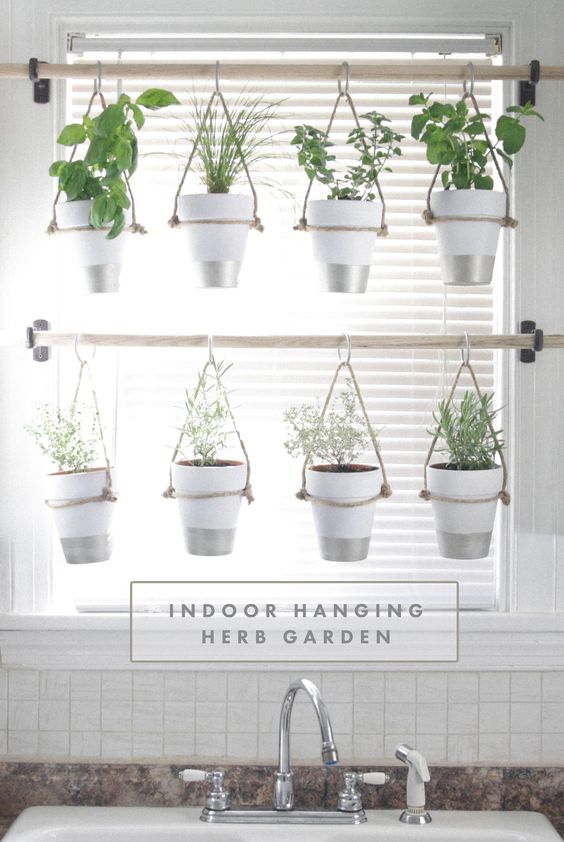 G 4 Gardening: Indoor Herb Garden Ideas