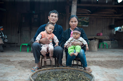 Pu'er-like teas in South East Asia