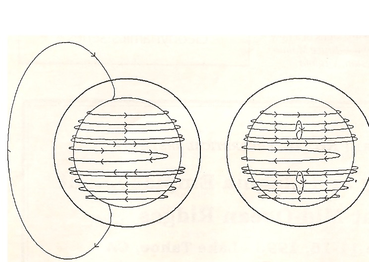 Brane Space A Look At Basic Solar Dynamo Theory