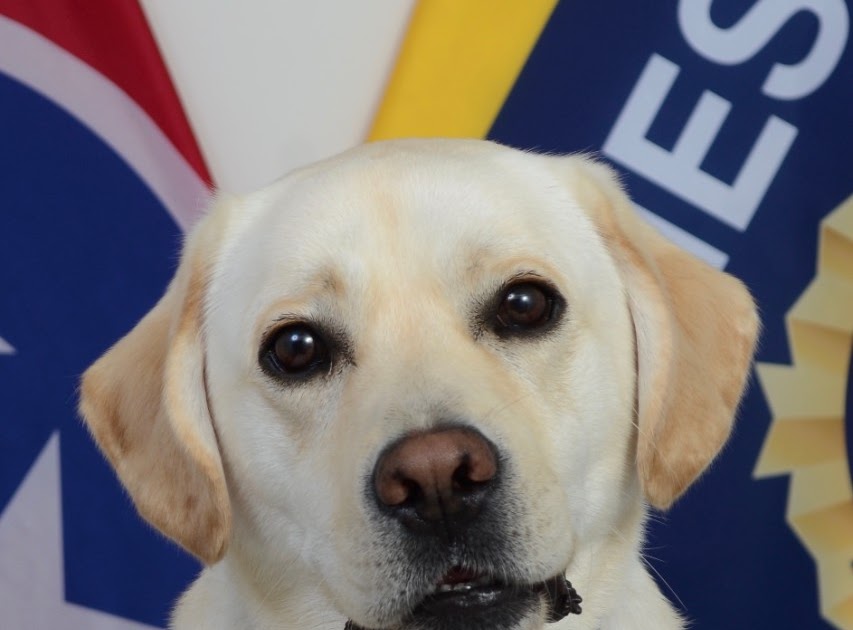 Alcatraz East Crime Museum Adds New Members to the Tennessee Bureau of Investigation Exhibit
