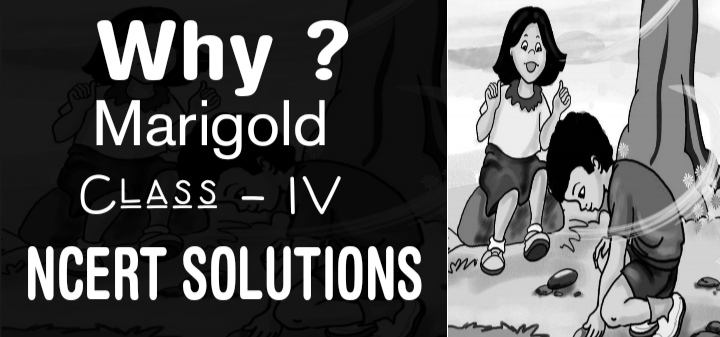 Why Class 4 NCERT Solutions Edunation19 why-class-4-ncert-solutions-edunation19