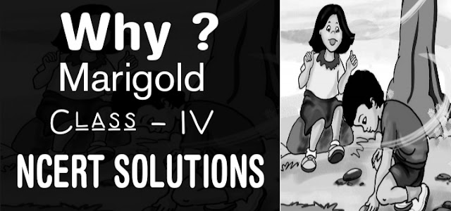 Why Class 4 NCERT Solutions Edunation19 Why Class 4 NCERT Solutions Edunation19