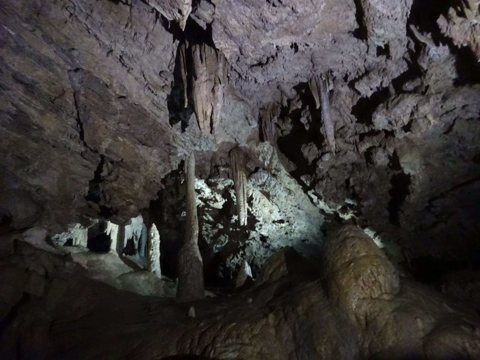 Diary of an Autodidact: Oregon Caves National Monument