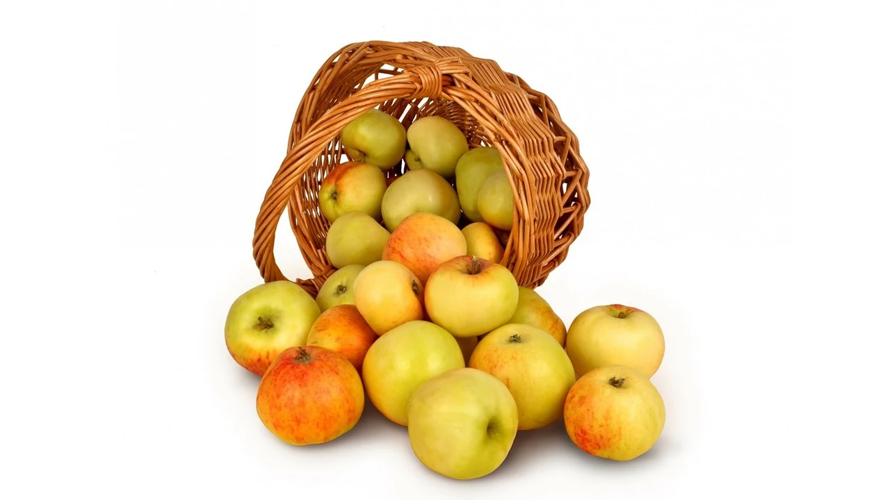 فوائد التفاح وأضراره، التفاح البنفسجي، فيتامينات التفاح، ألوان التفاح، فوائد التفاح الأصفر، فوائد التفاح المصري، أصناف التفاح، أضرار التفاح