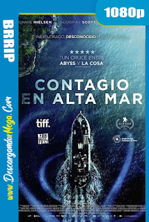 Contagio en Alta Mar (2020) HD 1080p Latino