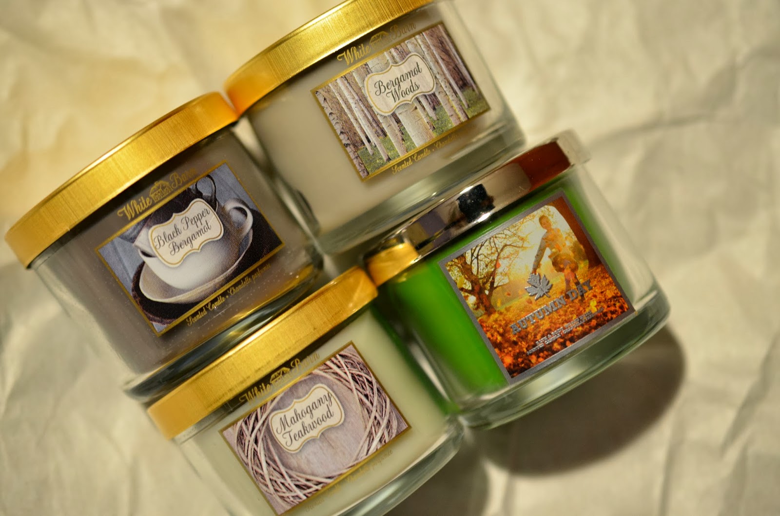 Gaborillaa Bath and Body Works Fall Candle Haul