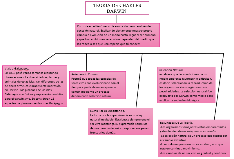 Darwin La Evolucion De Una Teoria Mapa Mental Images