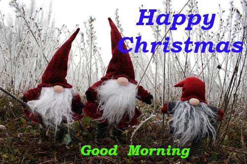 Good Morning Happy Christmas wishes 