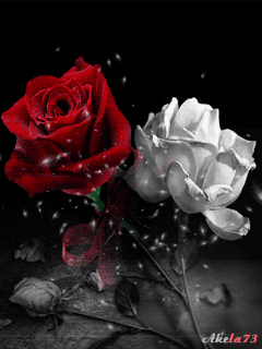 Decent Image Scraps: Animated Roses