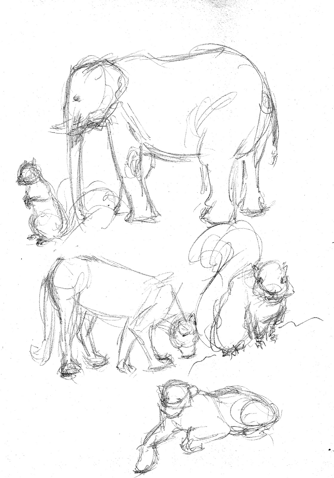 LakArt Ringling CA portfolio