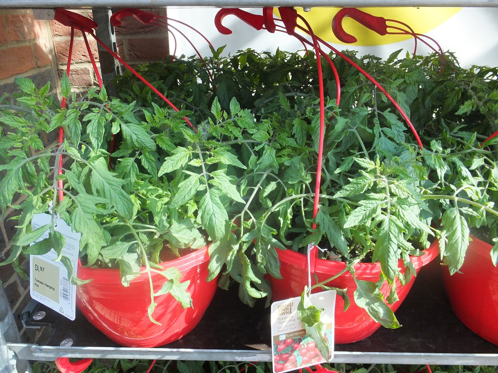 Creating an Edible Garden with Homebase (and Kids) Part 1 GardenGoals