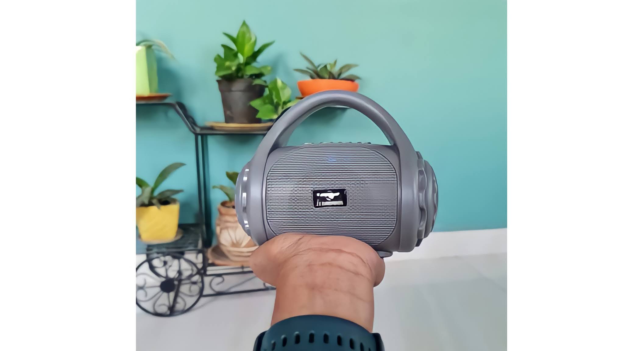 Zebronics ZEBCOUNTY wired & Bluetooth portable speaker