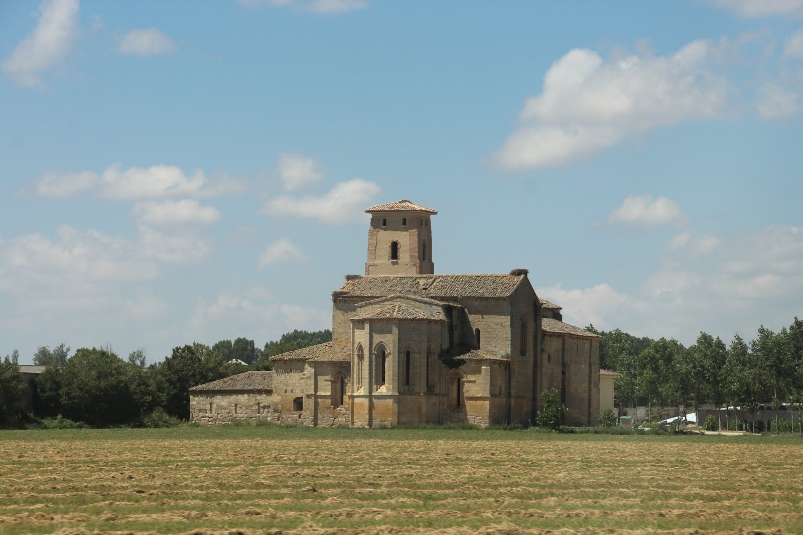Historia y Genealogía Monasterio de Santa Cruz de la Zarza. Ribas de