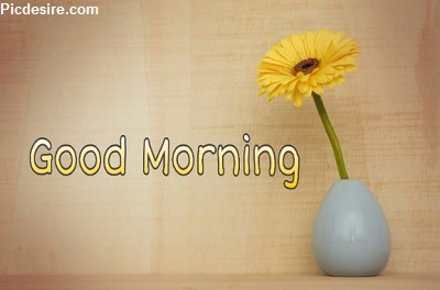 25+ Good morning wishes with Flowers Images 25+ Good morning wishes with Flowers Images