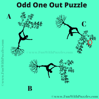 Find the Odd One out Puzzle Question-Answer