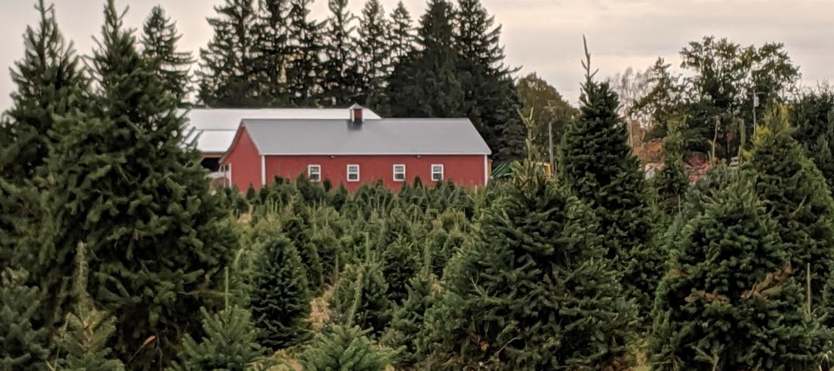 Woody Acres Christmas Attractions