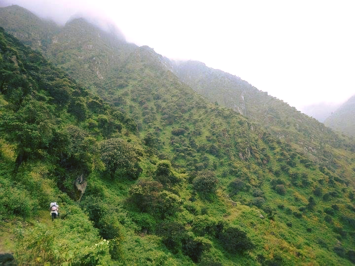 Zona Reservada Bosque de Zárate