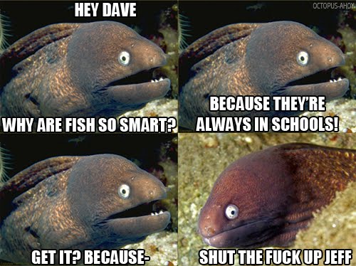 Bad Joke Eel - Why Are Fish So Smart