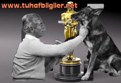 oscar ödülünün bilinmeyenleri