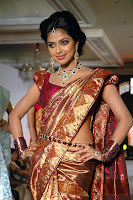 Bollywood and Tollywood acress Amala, Paul,traditional saree, fashion show, hot, sexy