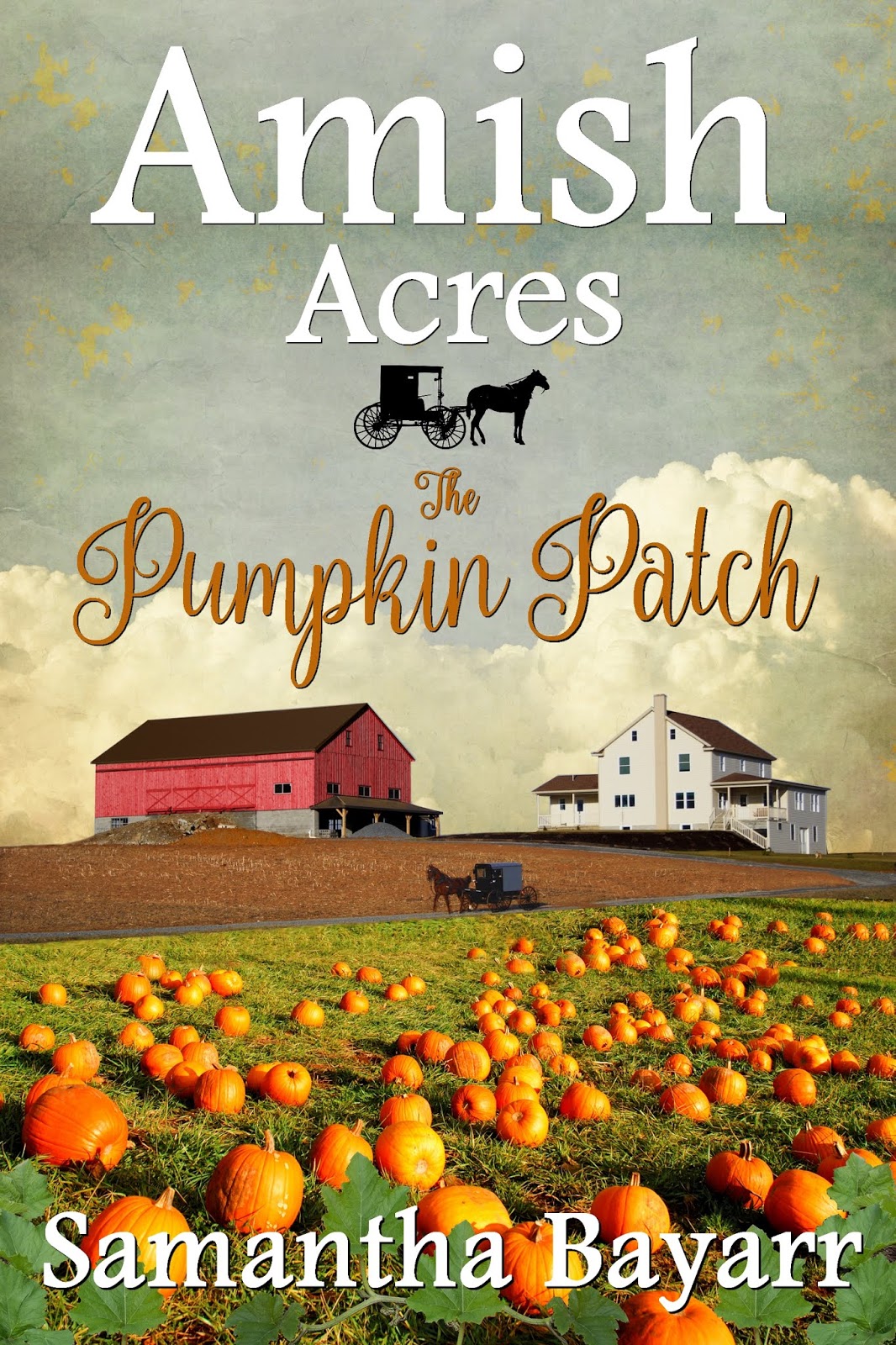 Amish Books Kindle Countdown Deals