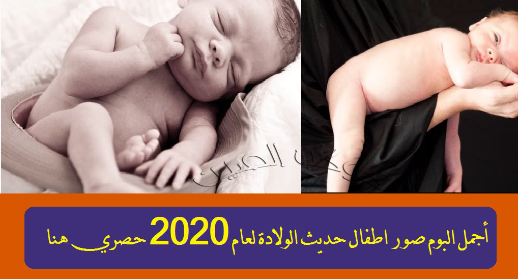 أجمل البوم صور اطفال حديث الولادة لعام 2020 حصري هنا