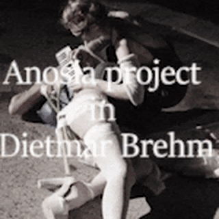 Anosia project in Dietmar Brehm