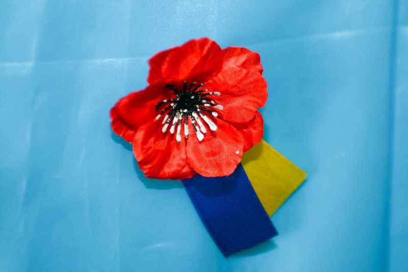 Мак символ памяти. Красный Мак Украина символ 9 мая. С днем Победы маки. Красный Мак символ памяти. Красный Мак на 9 мая в Украине.