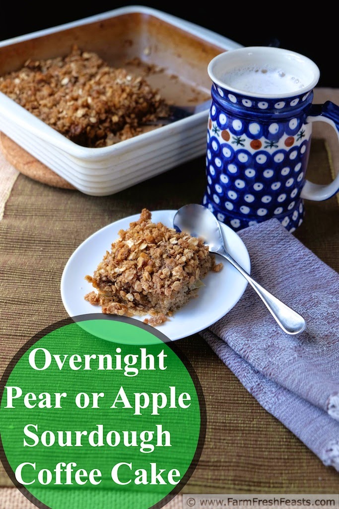 http://www.farmfreshfeasts.com/2014/09/pear-walnut-sourdough-coffee-cake.html