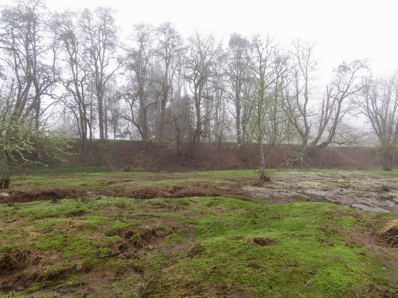 Photos by Jan Off D Street in Springfield,Oregon/Then Day Island Park