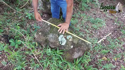 Bizzarri na pedreira fazendo o que mais gosta, garimpando pedras para construções com pedras. Na foto pedras moledo tipo pedra natural sendo pedra para paisagismo, pedras para jardim, pedras para lagos ornamentais, pedra para caminho, pedras para banco e muro de pedra.