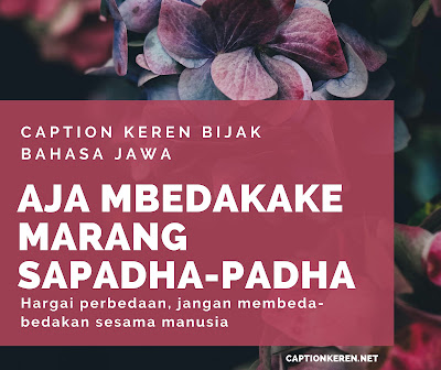 caption keren bijak bahasa jawa beserta artinya caption keren bijak bahasa jawa beserta artinya